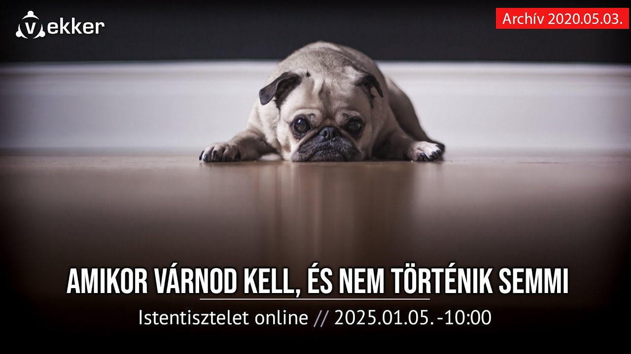AMIKOR VÁRNOD KELL, ÉS NEM TÖRTÉNIK SEMMI - Fóris Tamás