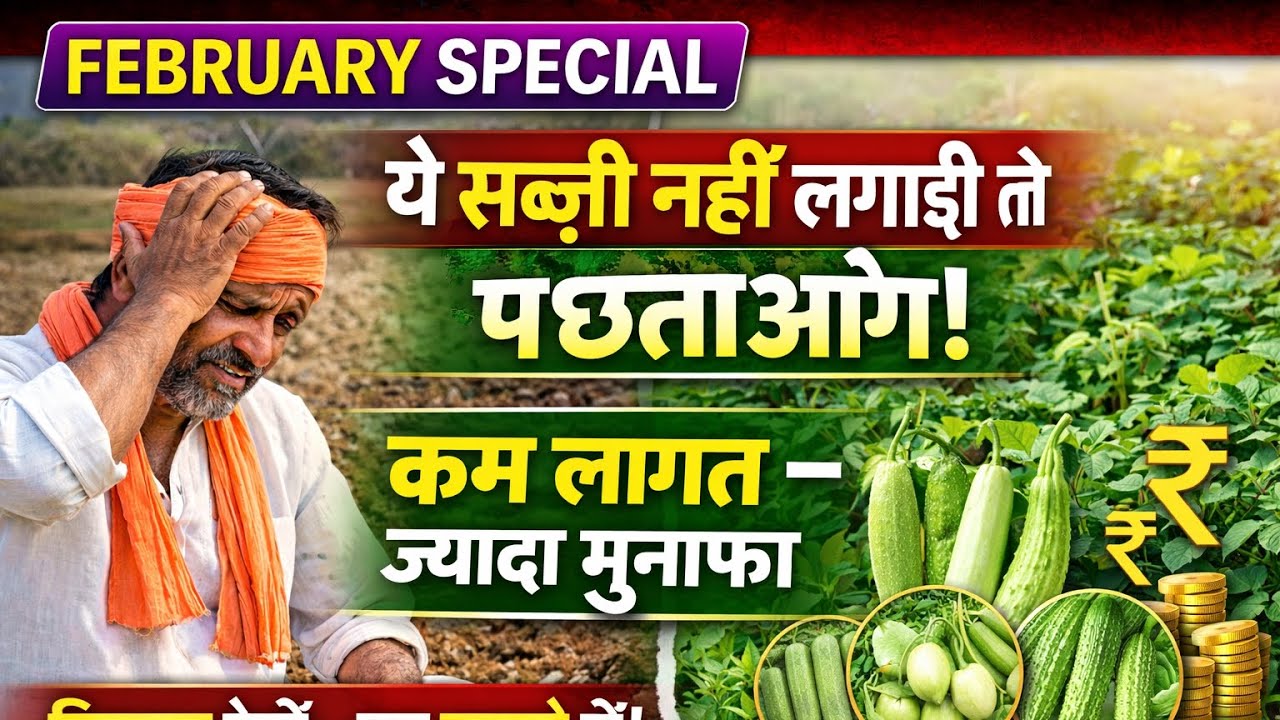 फरवरी में ये सब्ज़ी नहीं लगाई तो पछताओगे | February Vegetable Farming | कम लागत ज्यादा मुनाफा