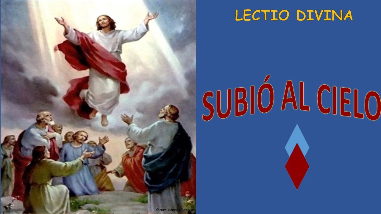 SUBIÓ AL CIELO