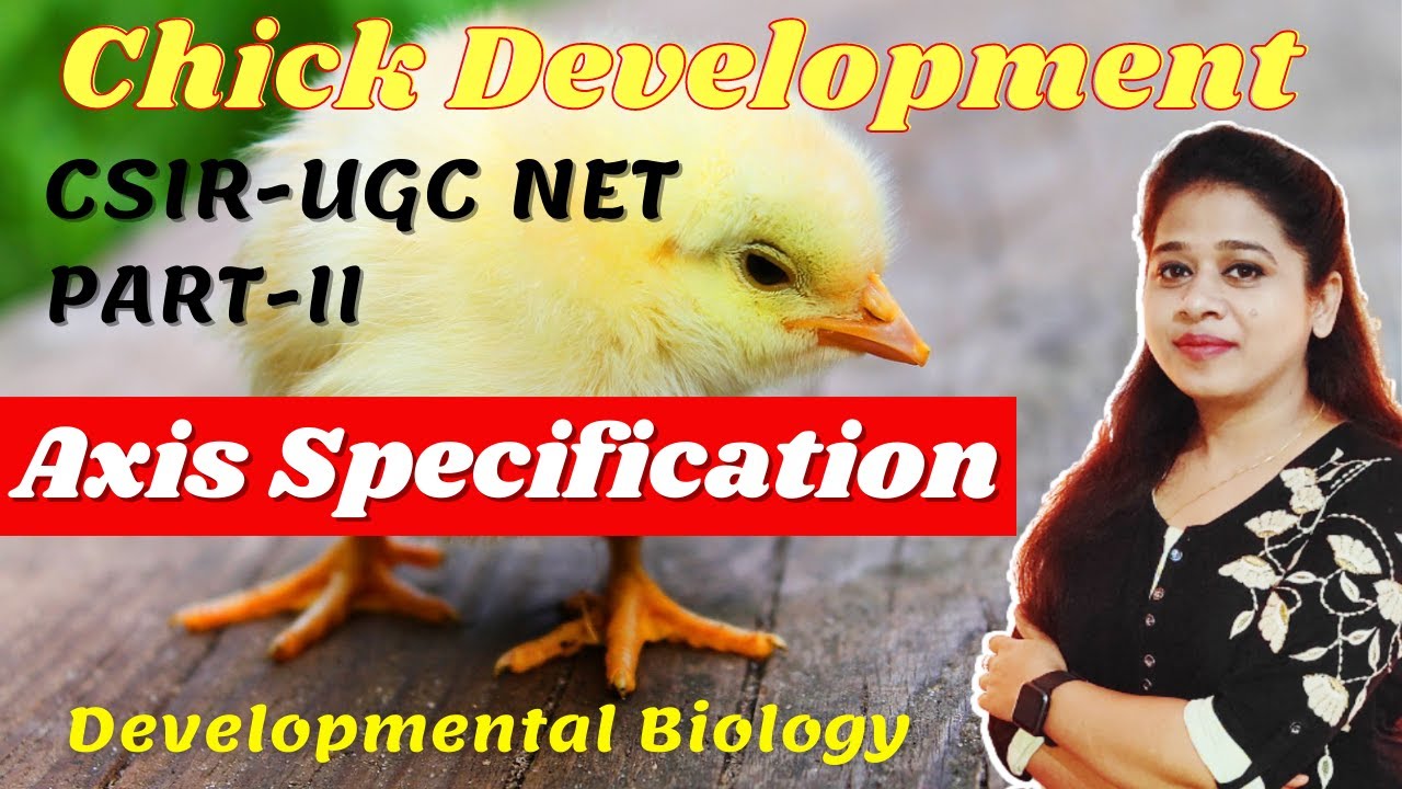 Chick Development (Part-2) Axis Specification | CSIR-NET PYQs