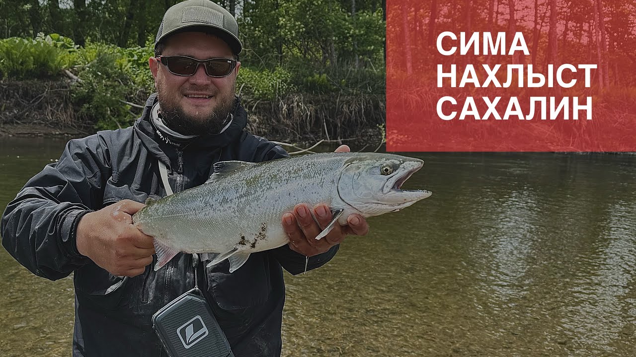 Сима. Нахлыст. Сахалин. Cherry Salmon. Flyfishing. Sakhalin.