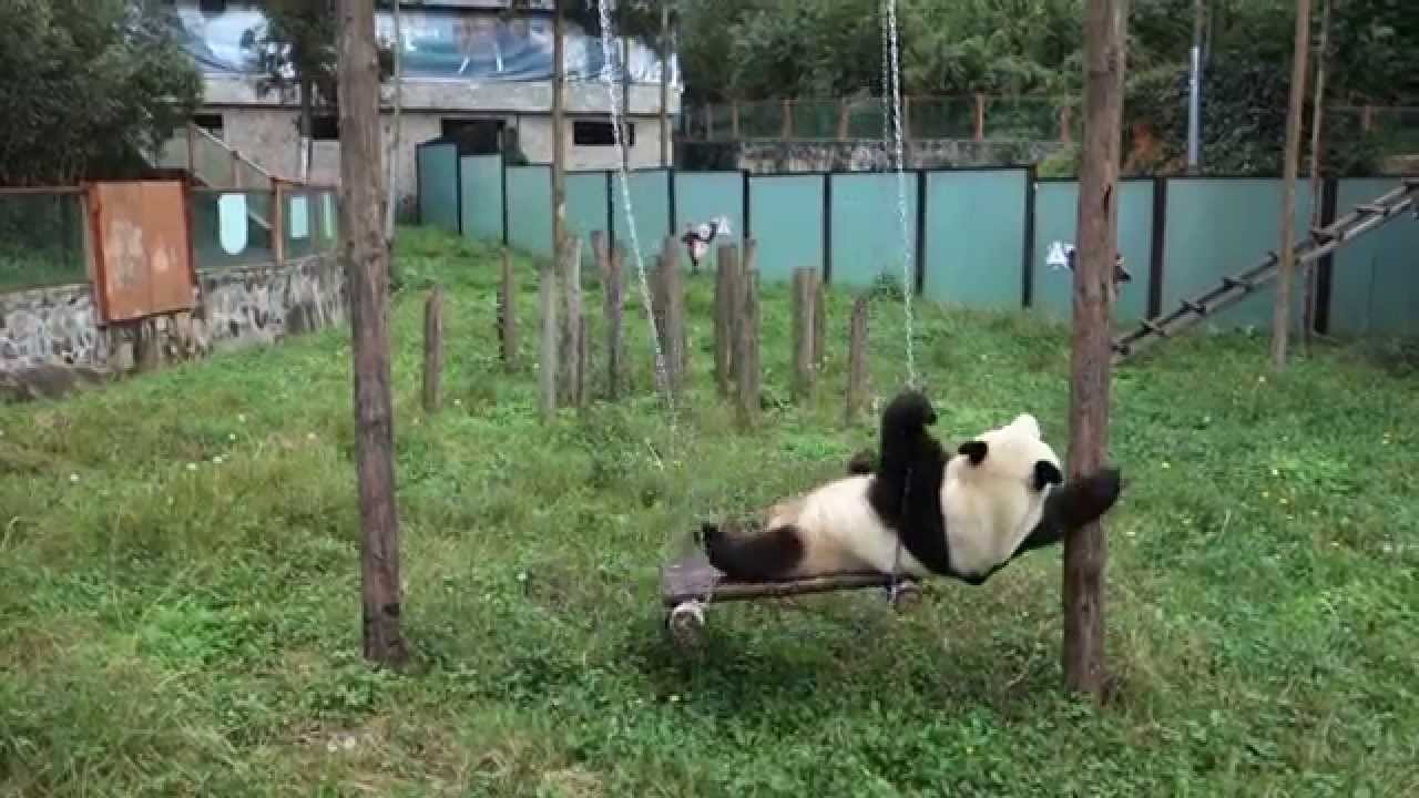 Si Jia Yuen on swing