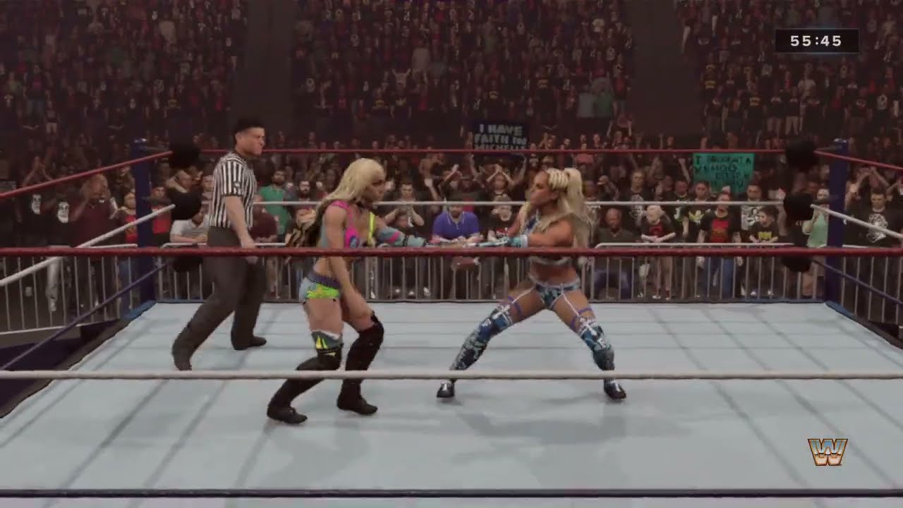 WWE Women's World Championship Submission Match Michelle McCool vs. Liv Morgan