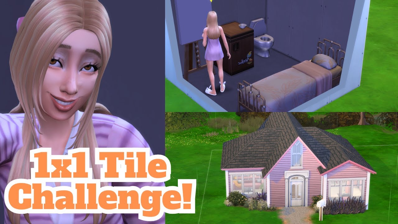 Can my Sim Survive in a 1x1 Tile Home