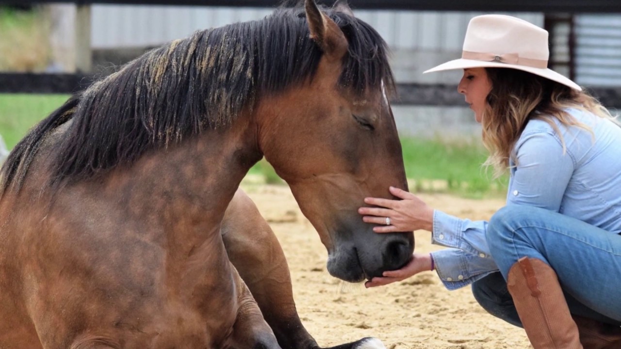 2019 Extreme Mustang Makeover- Abigail Hale and Pippa's Promise