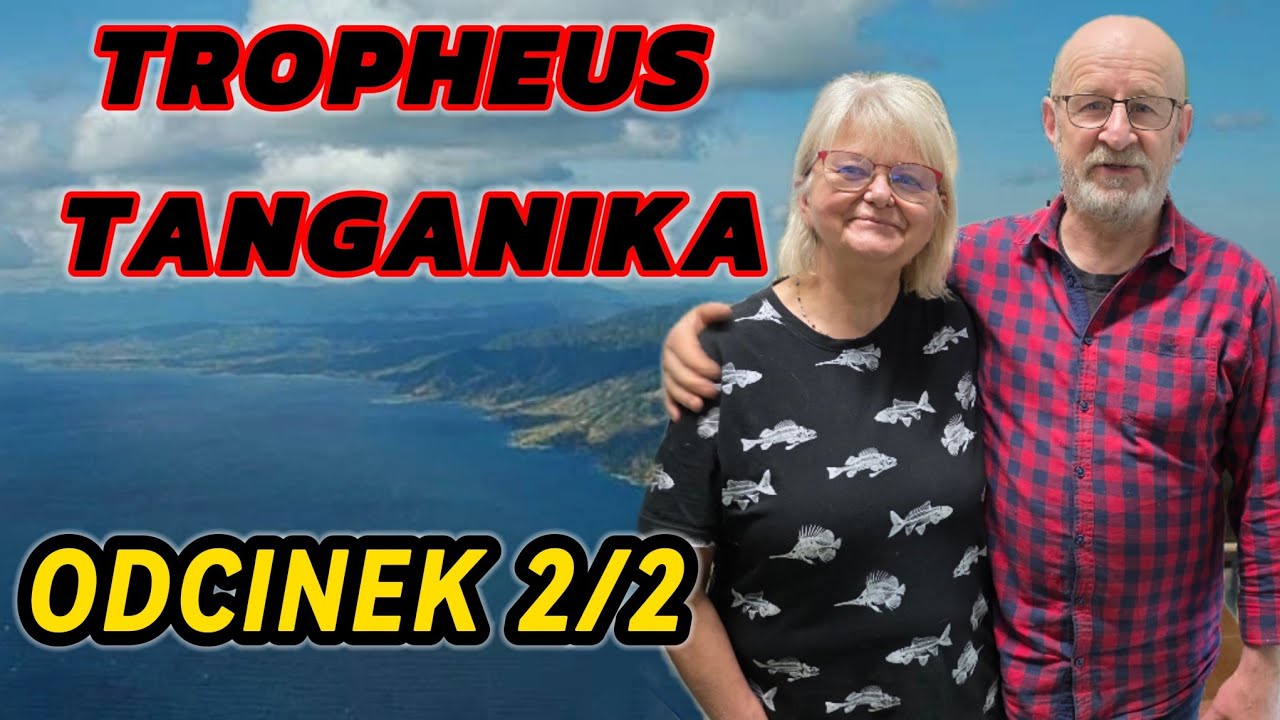 Tropheus Tanganika Odwiedziny u importera odcinek 2/2