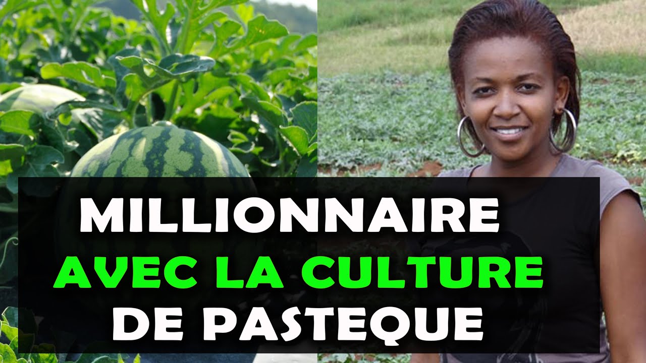 Ann Nyaga: La dame qui gagne des millions grâce à la production des pastèques au Kenya [AGRICULTURE]