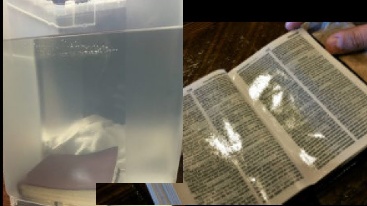 BIBLE LEAKING OIL - MESSIANIC RABBI ZEV PORAT EXPLAINS