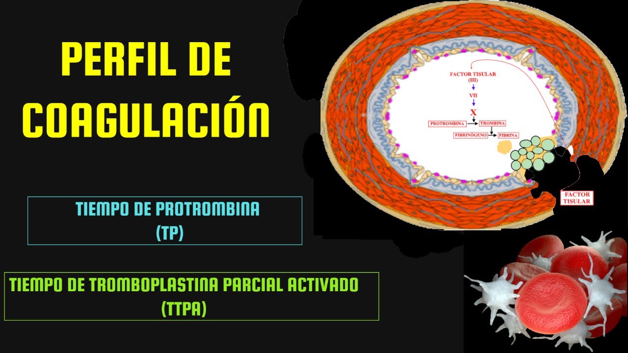 HEMOSTASIA - TIEMPO DE PROTROMBINA TP - TIEMPO DE TROMBOPLASTINA PARCIAL ACTIVADO TTPa