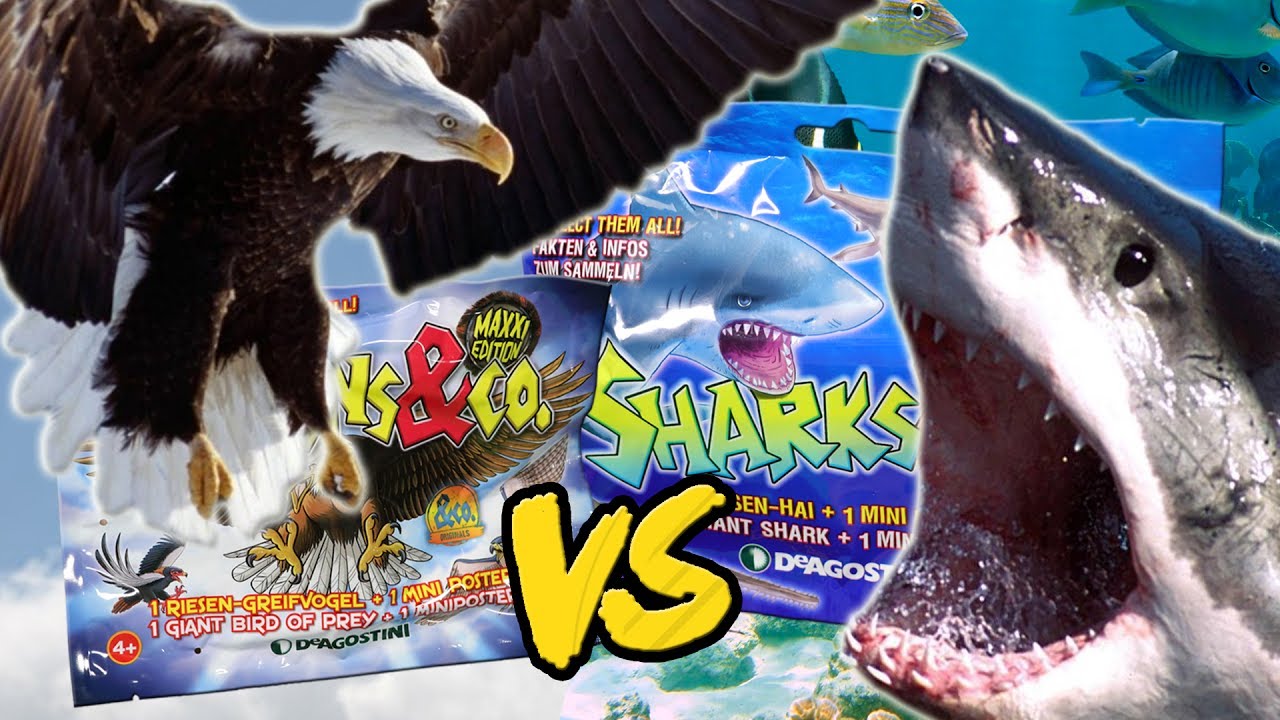 DeAgostini FALCONS vs SHARKS und Co DAS DUELL DER GUMMITIERE