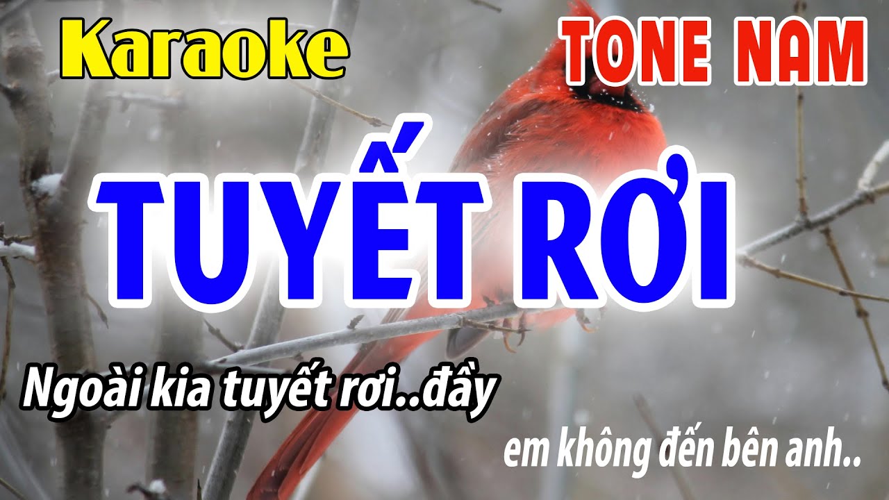 Tuyết Rơi - Karaoke Tone Nam ( Am ) Đời Sống Và Âm Nhạc - Beat Phối Dễ Hát