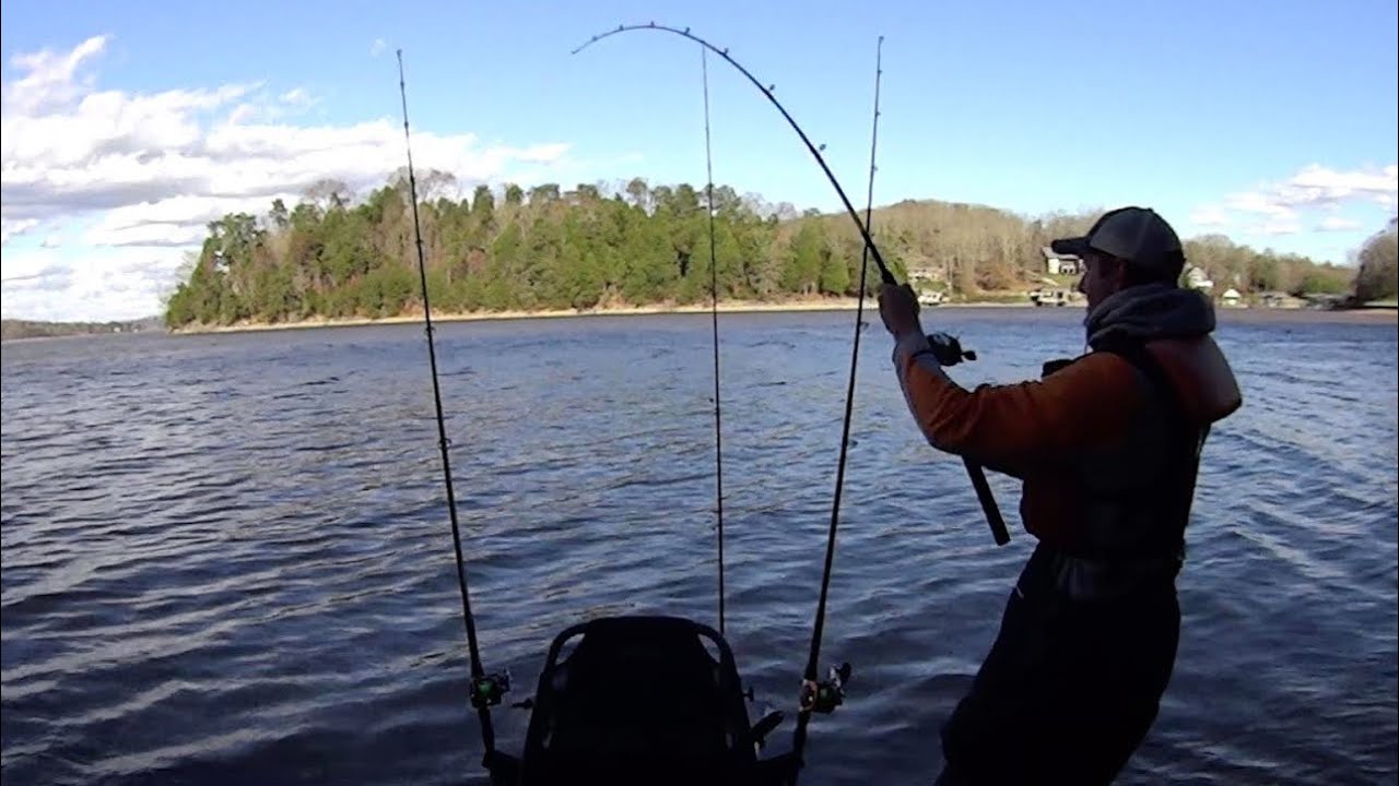 Fighting Fish Instead of the Wind