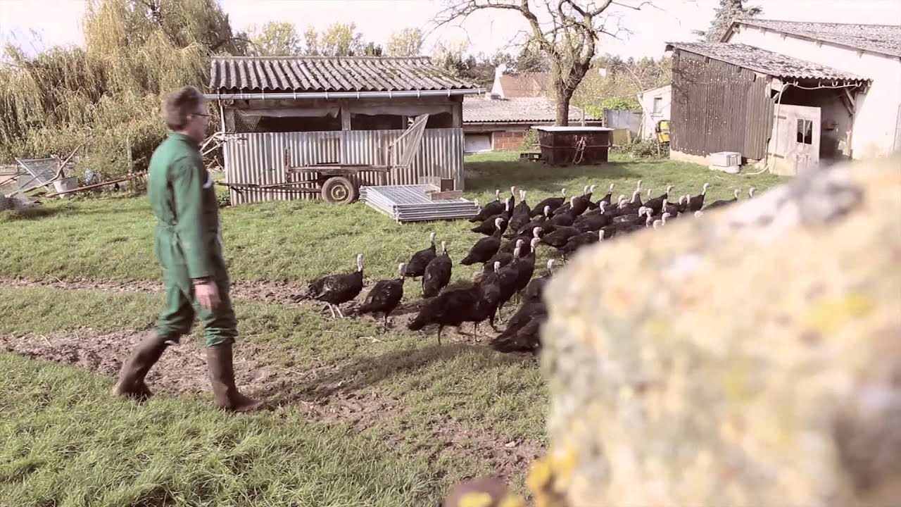 Clic Mon Marché.fr - Partenaire Maison Merlat - Volailles et Gibiers
