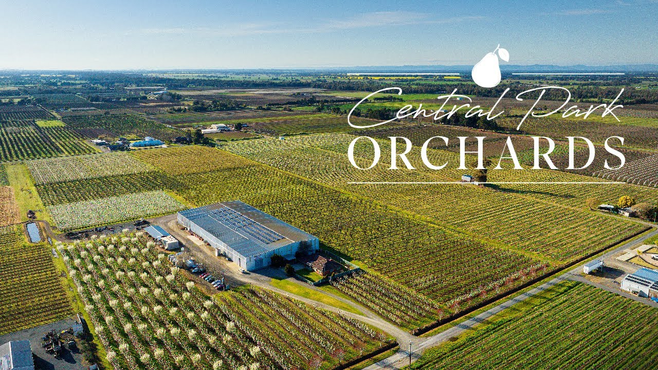 &lsquo;Central Park Orchards&lsquo;, Shepparton, Victoria