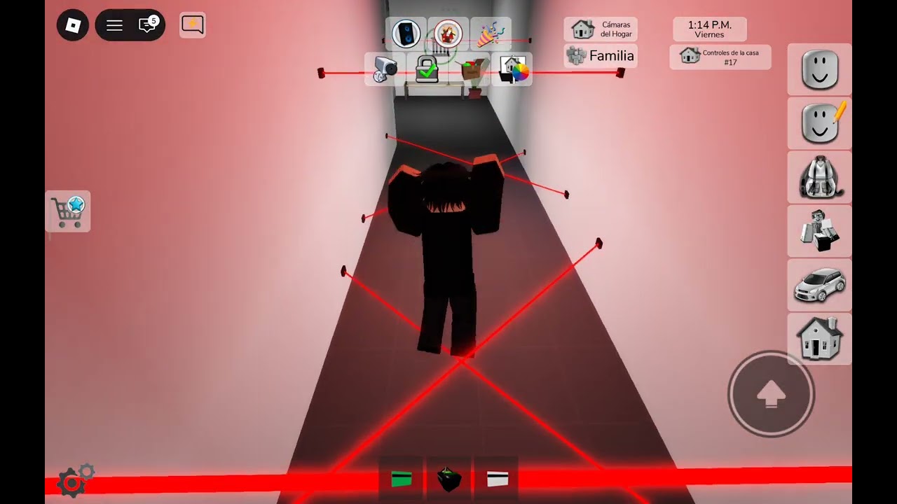 Jugando con mi hermano brookhaven