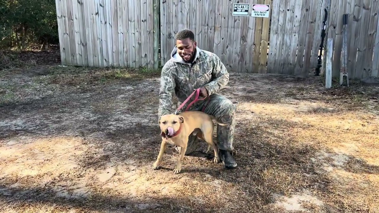 Trimble Kennel’s “Slim” The Best Of The Best Off Of ShyGirl x Buddy 🔥🔥..