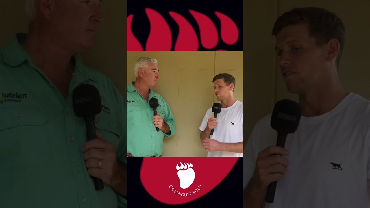 CC, Mark Barton and Ollie Cork and the Garangula Polo major reduction sale.