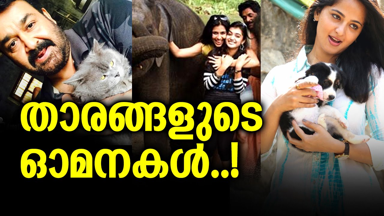 Film Actors who Love  Pets