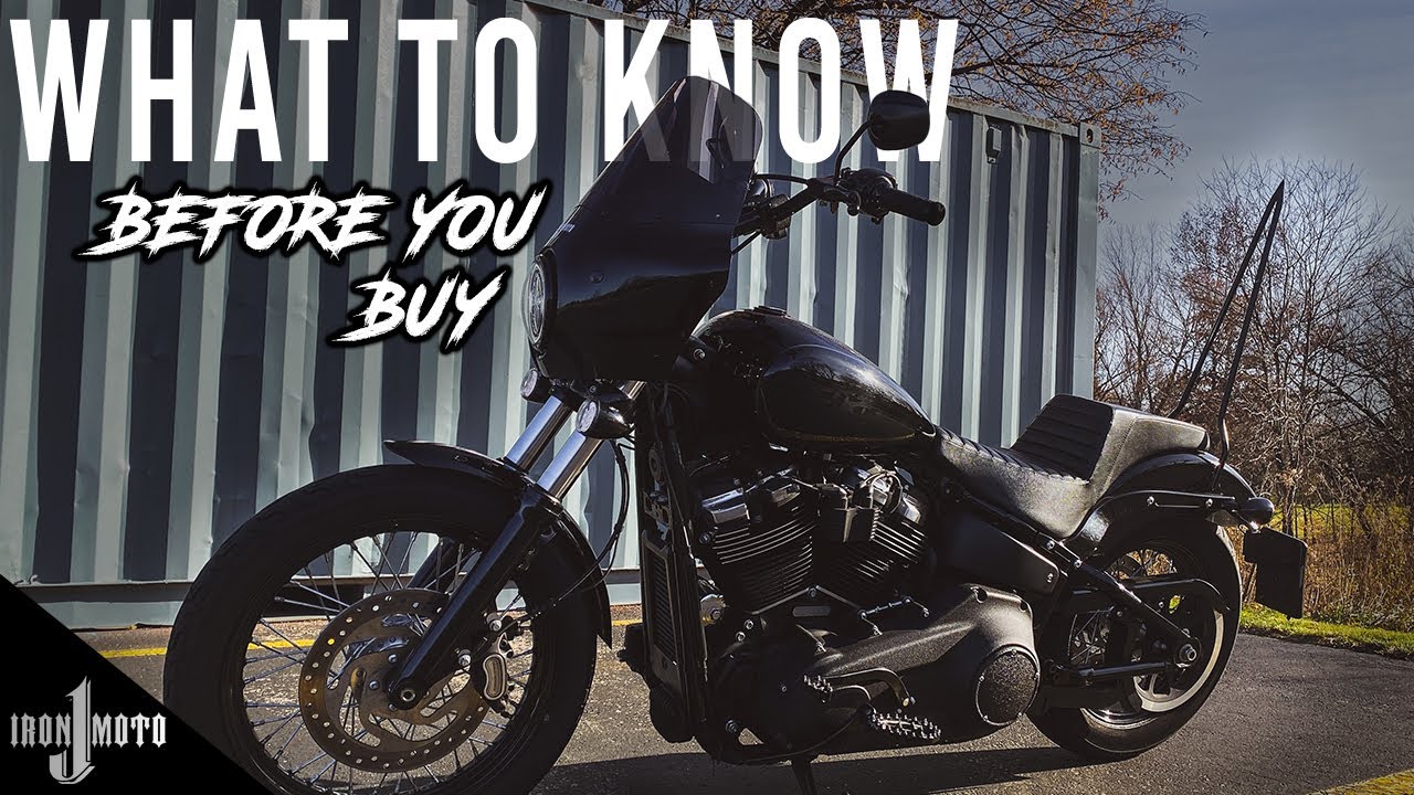 BEFORE You Buy A Softail Street Bob!