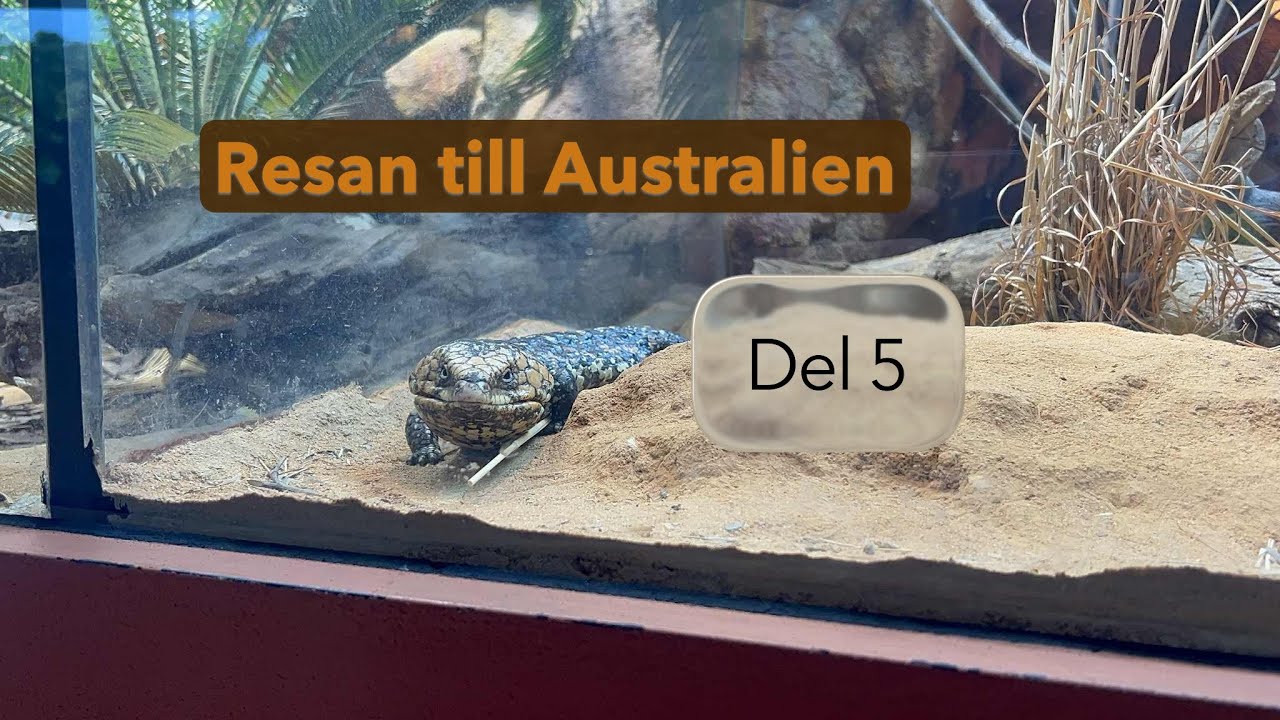 Resan till Australien del 5