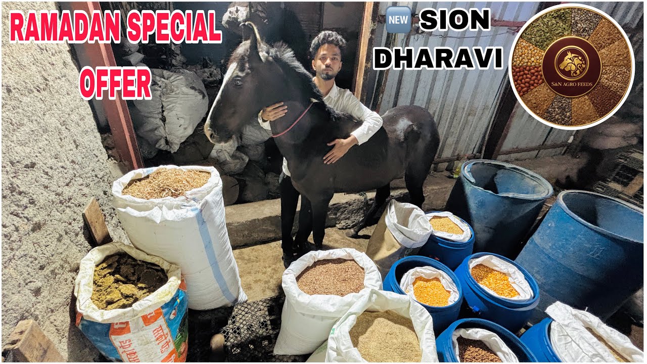SN AGRO GOAT FEED SHOP NEW OPEN IN SION DHARAVI | RAMADAN OFFER ON FEED |