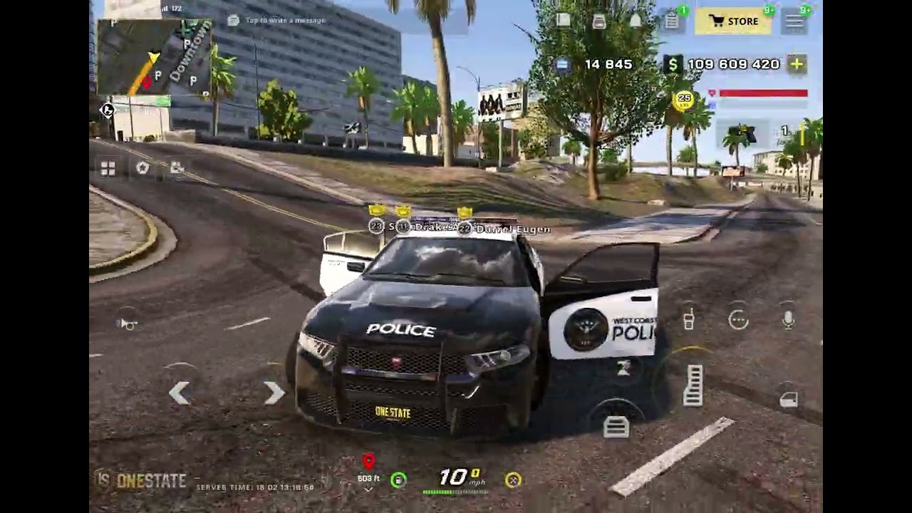 Drake Arrest