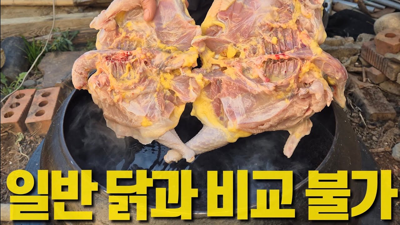 기름부터 차원이 다르다! 이게 진짜 토종닭이다!