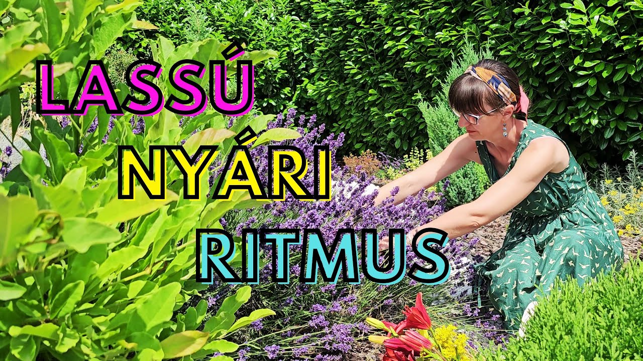 Lassú nyári ritmus - 8 tipp, hogyan hangolódj a nyárra