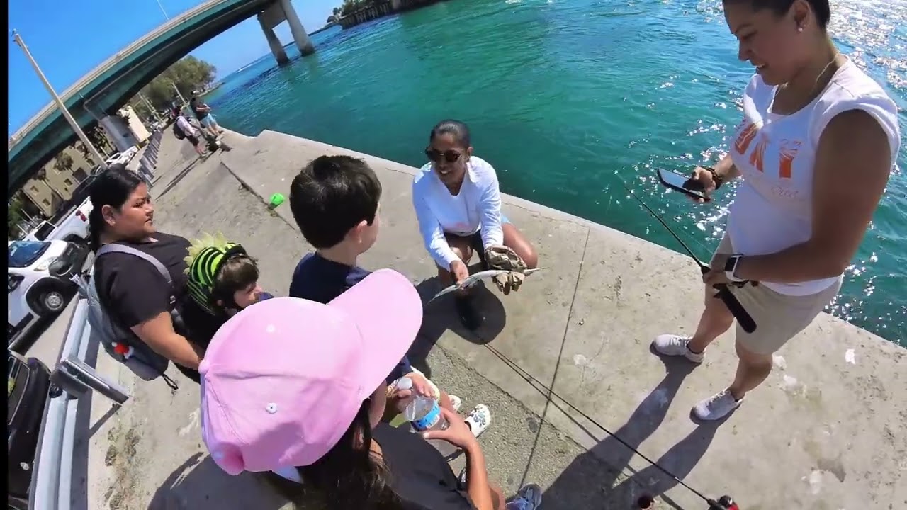 I-12: First Day Fishing Haulover #fishingflorida, #fishinglife #needlefish, #angler