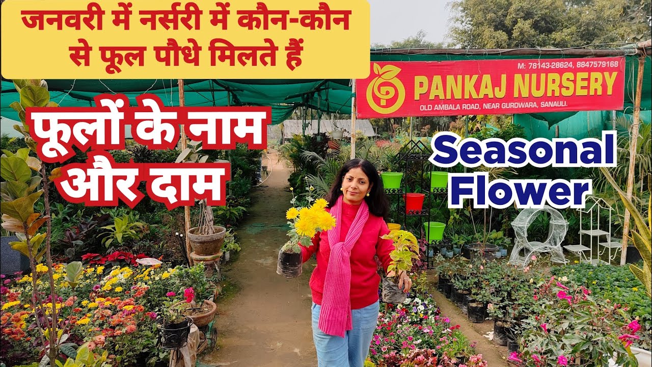 January Plant Nursery Visit / Plant Name With Price / Roadside Plant Nursery Visit / Cheapest Plant 