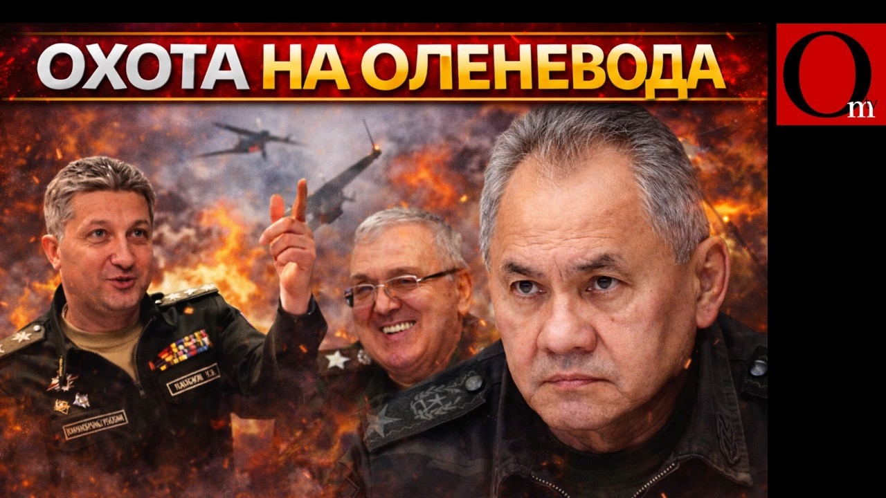 ДеШойгизация по плану! Оленевода загоняют в клетку
