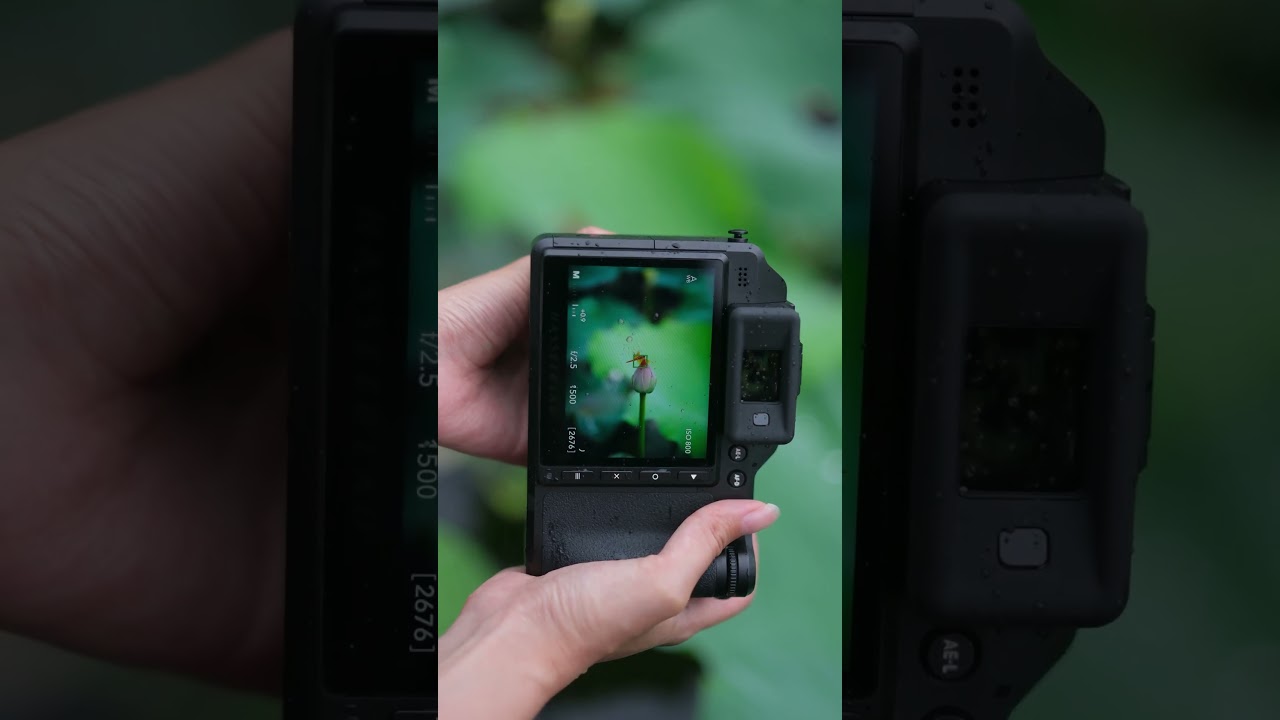 Peer Through Clear Streams and Delicate Dragonflies with Your Camera #hasselblad