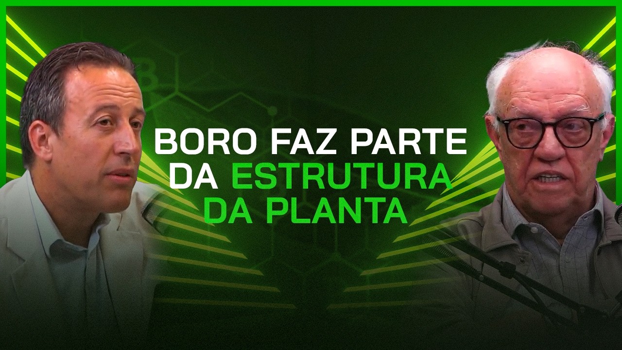 Boro: Pare de desperdiçar fertilizante e comprometer o caixa da fazenda
