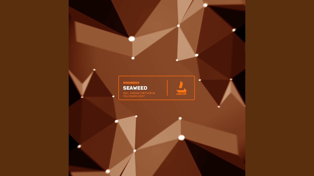 Seaweed (Methodub Remix)