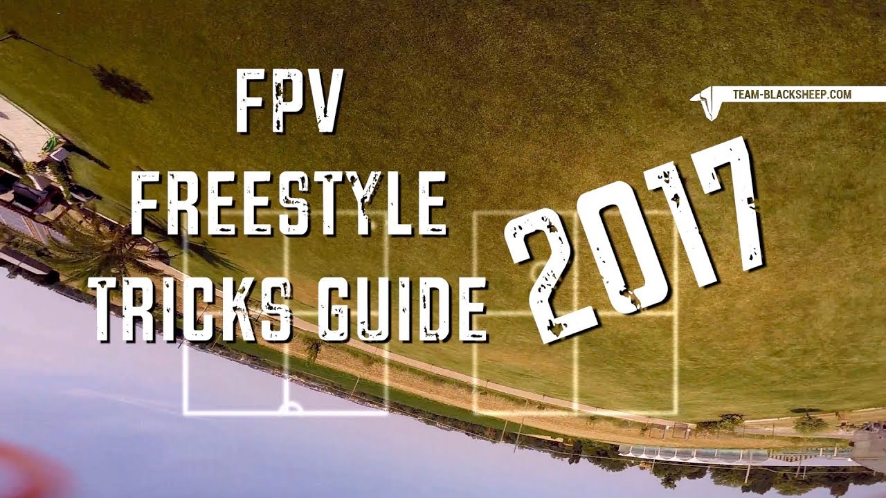 FPV FREESTYLE TRICKS GUIDE 2017 // LM2 224mm // TUTORIAL // MODE 2
