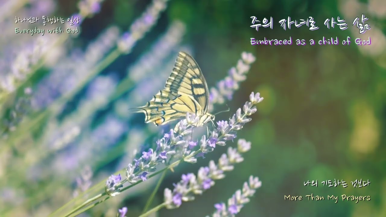 주의 자녀로 사는 삶ㅣ 마음에 평안과 쉼을주는 CCM 피아노ㅣ 묵상 찬양ㅣ하나님의 평안과 위로가 필요한 이에게