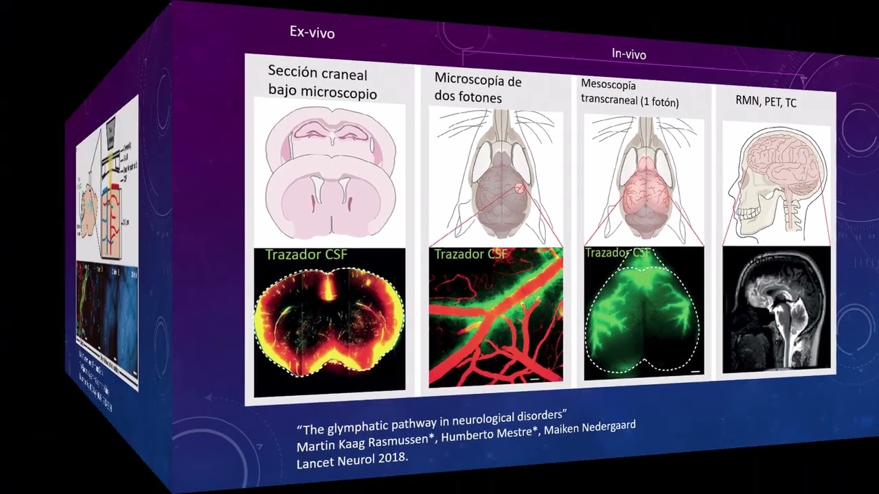 EL SISTEMA GLINFÁTICO