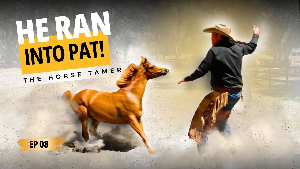 The Lunging Mistake That's Making Your Horse Dangerous | Ep. 8 The Horse Tamer (Lindy & Sedona)