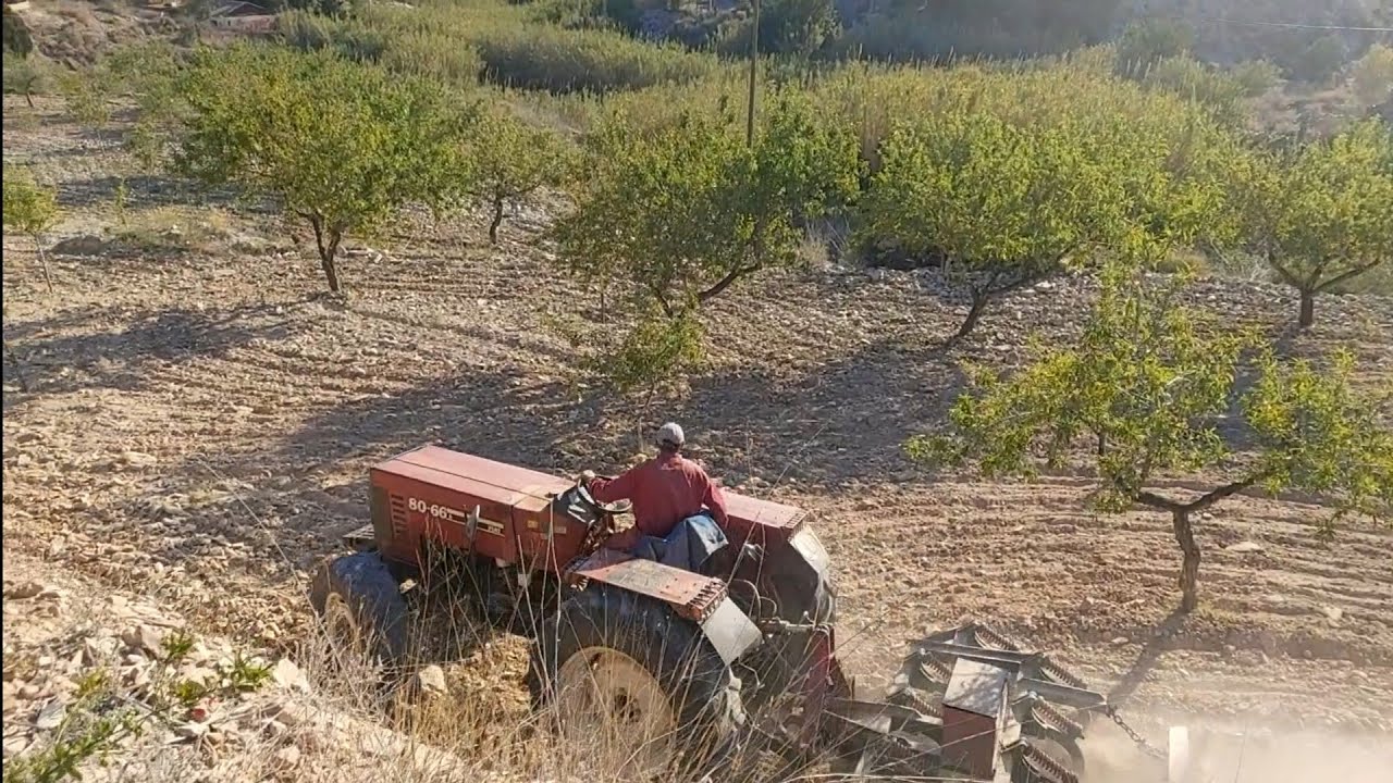 L.M vamos a labrar los almendros 🇪🇦🌾🌳
