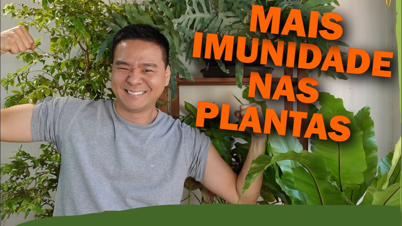 IMUNIDADE A PRAGAS E DOENÇAS: 5 Formas de aumentar a força das plantas