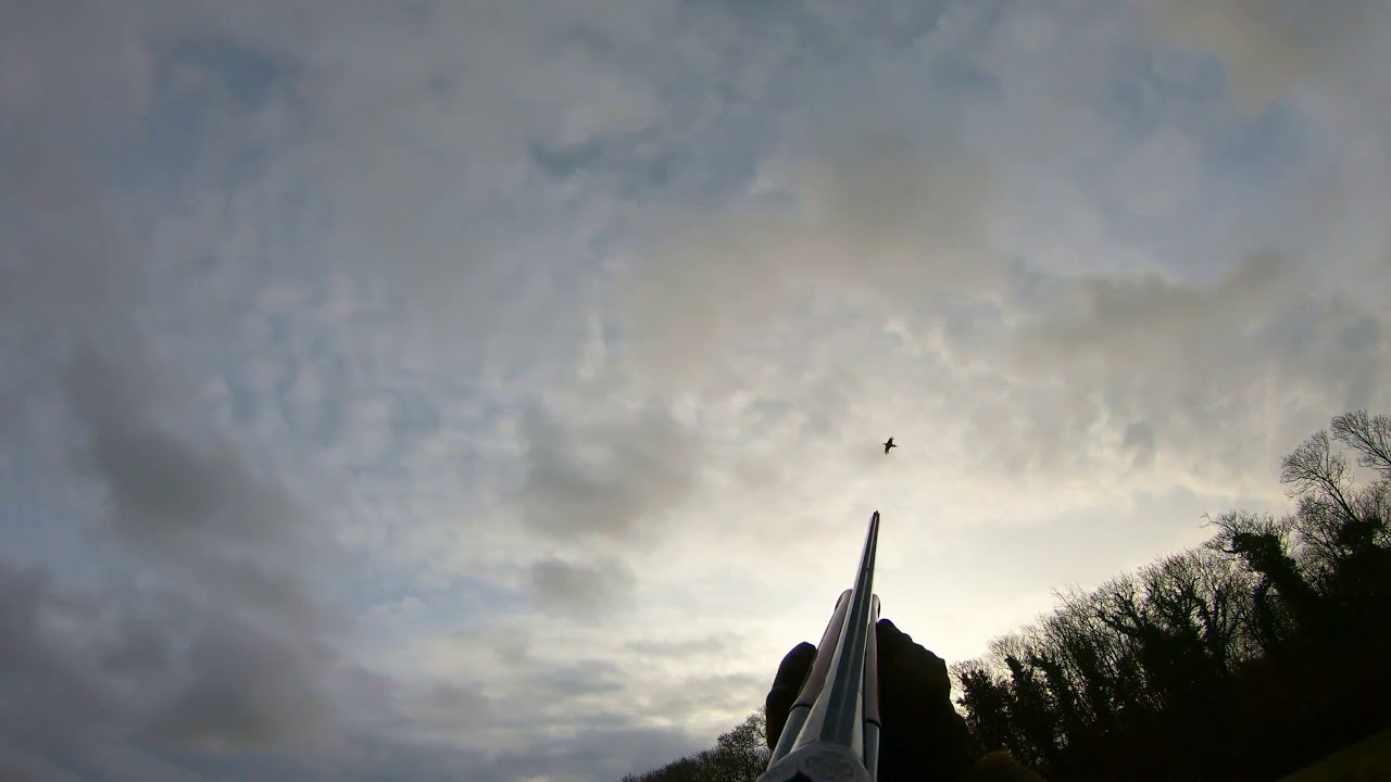 28 Gauge shooting Driven Pheasants in Devon  - Instow Highlights 2019