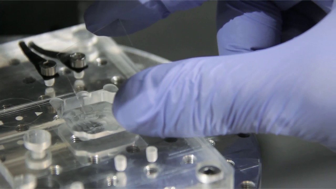 FEMTO Engineering - laser femtoseconde