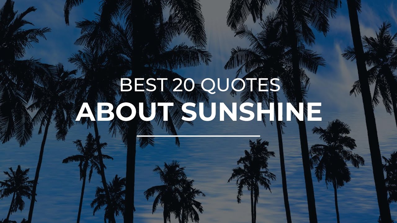 Best 20 Quotes about Sunshine | Amazing Quotes | Beautiful Quotes