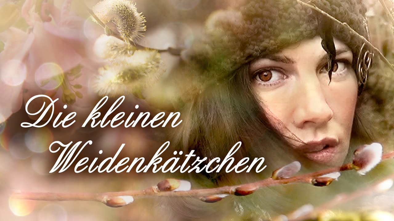 Die Kleinen Weidenkätzchen 🎵 #kinderliederdeutsch #volkslied #frühling #ddr