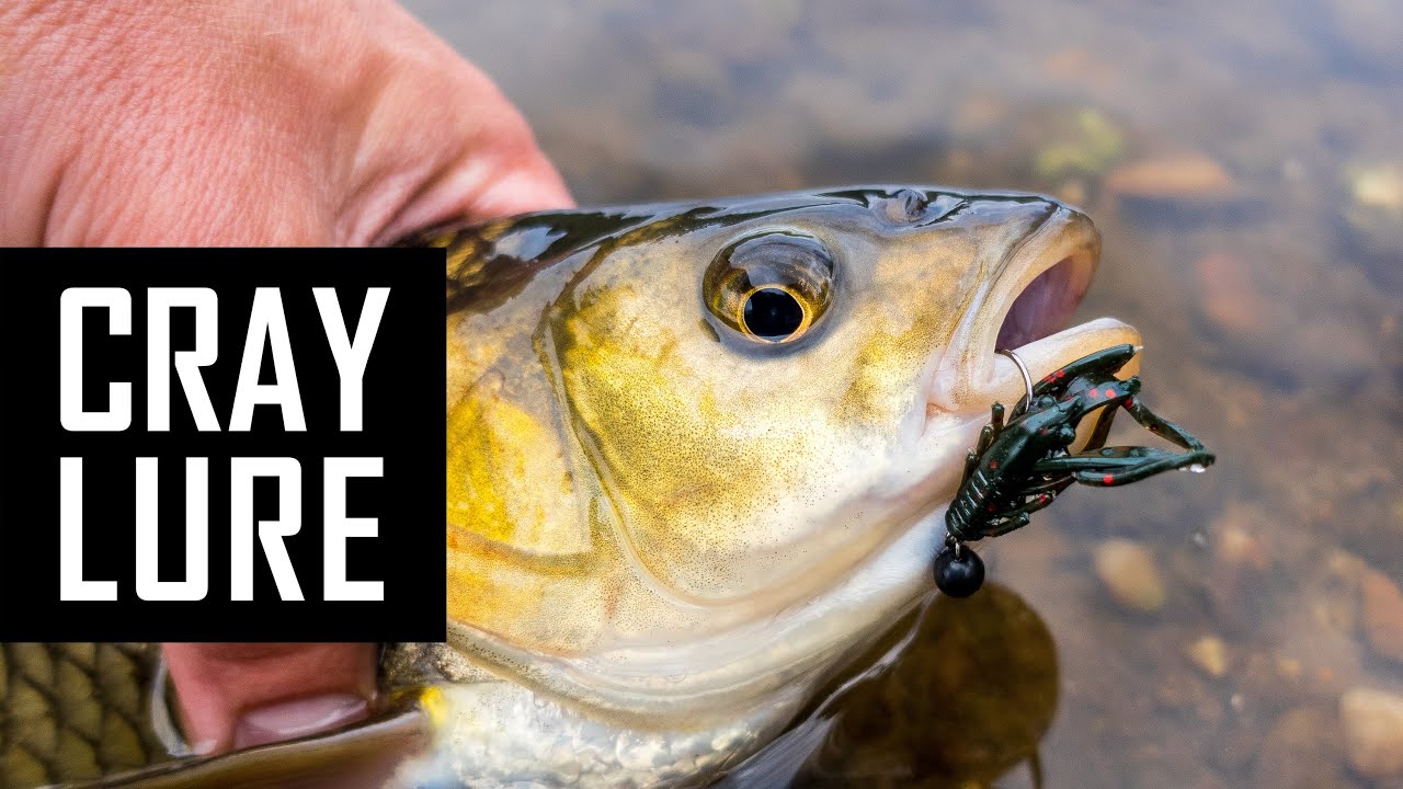 River fish smashing these tiny creature lures