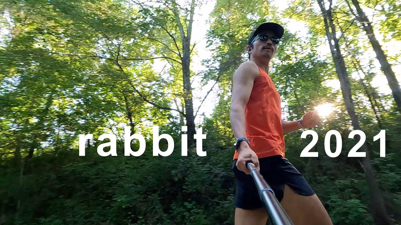 rabbit Summer 2021
