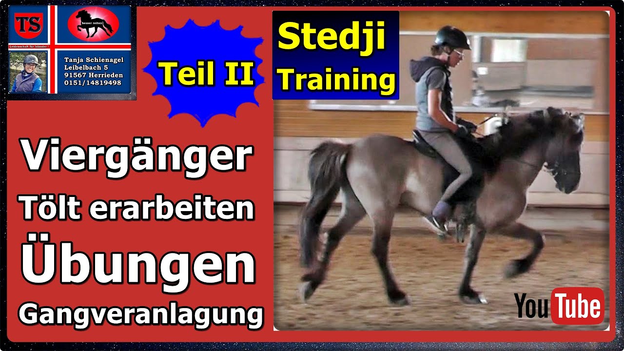Vierg&auml;nger Pferdetraining II, Tipps aus Unterricht, T&ouml;lt, &Uuml;bungen, Gangveranlagung, Tanja Schienagel