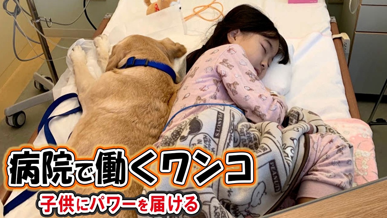 闘病中の子供に寄り添いパワーを届けるワンコ