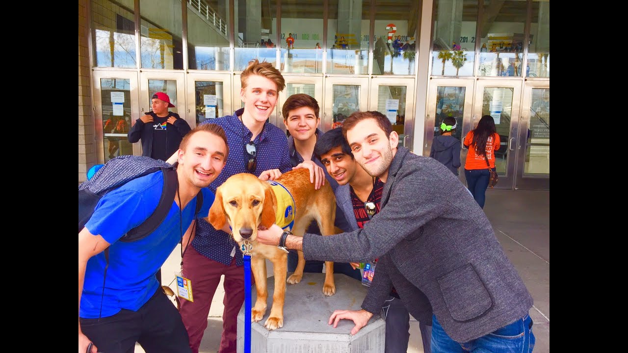 FOOD FIGHT + Pool Shenanigans (San Francisco Vlog) w/ The Pack