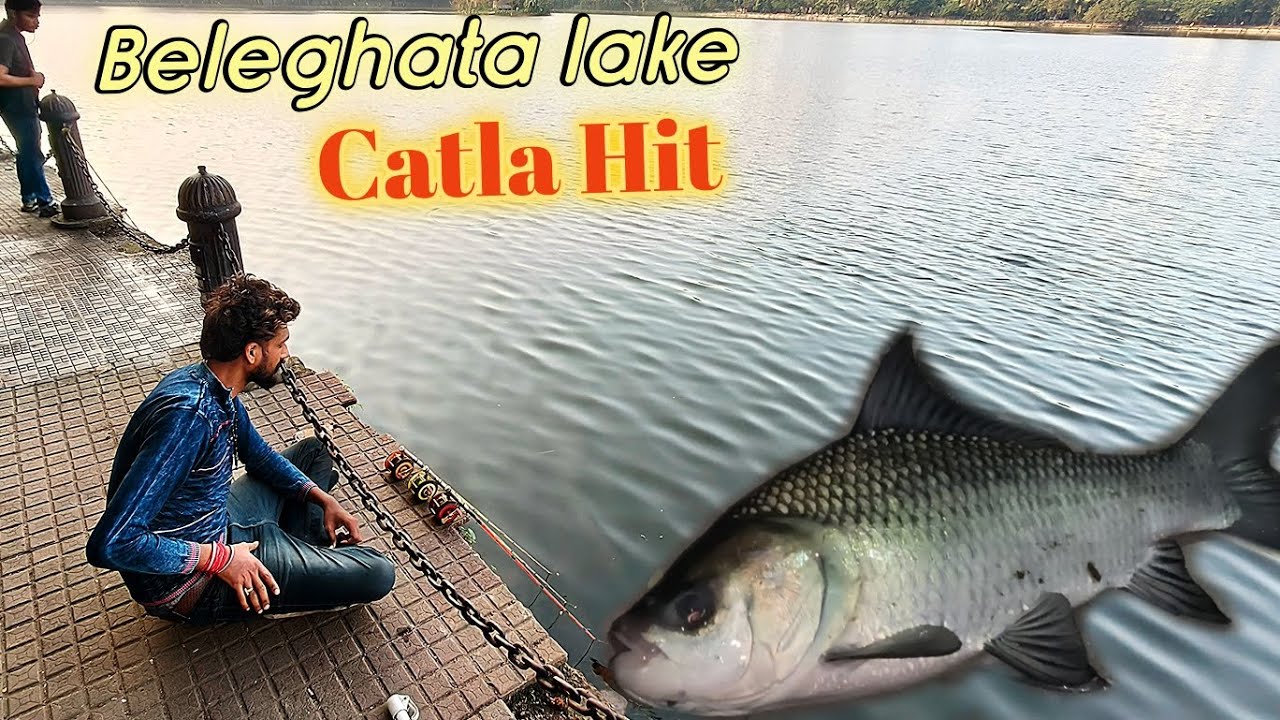 Catla Fishing: The Art of Angling in Beleghata Lake !! সারাদিন লেকে মাছ ধরার মুহুর্ত !! Prof Fishing